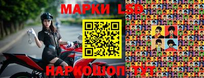 стафф Кингисепп