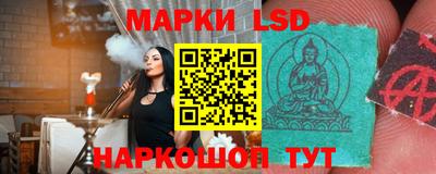 стафф Кингисепп
