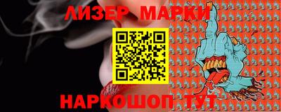 стафф Кингисепп