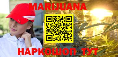 стафф Кингисепп