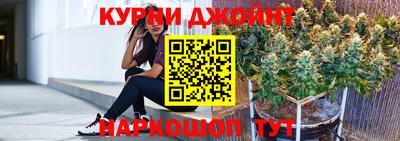 стафф Кингисепп