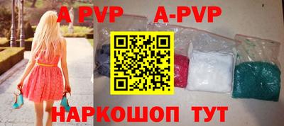 стафф Кингисепп