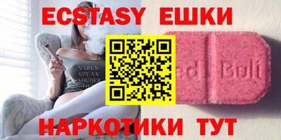 стафф Кингисепп