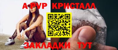 стафф Кингисепп