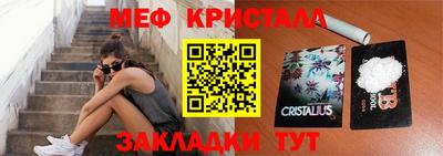 стафф Кингисепп