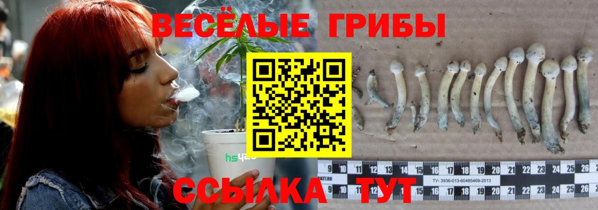 сколько стоит  Псилоцибиновые грибы MAGIC MUSHROOMS  Вход с VPN  Галлюциногенные грибы ЛСД  Югорск 